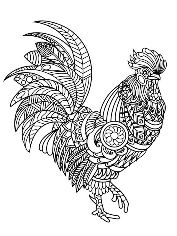 Pollo per adulti disegno da colorare