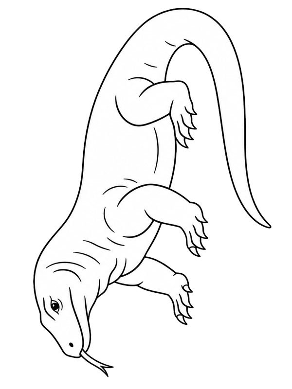 Drago di Komodo disegno da colorare