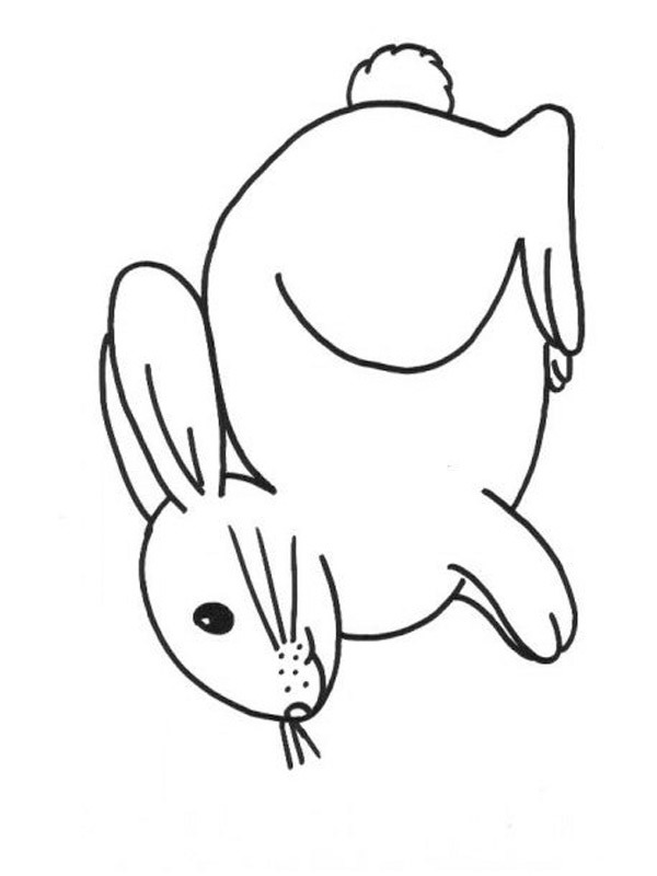 Coniglio disegno da colorare