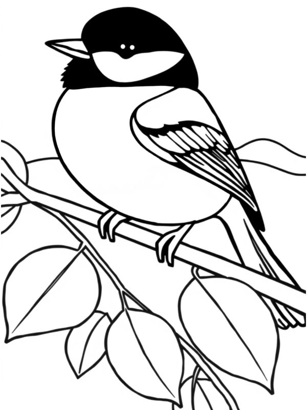 Cinciallegra disegno da colorare Cinciallegra disegno da colorare
