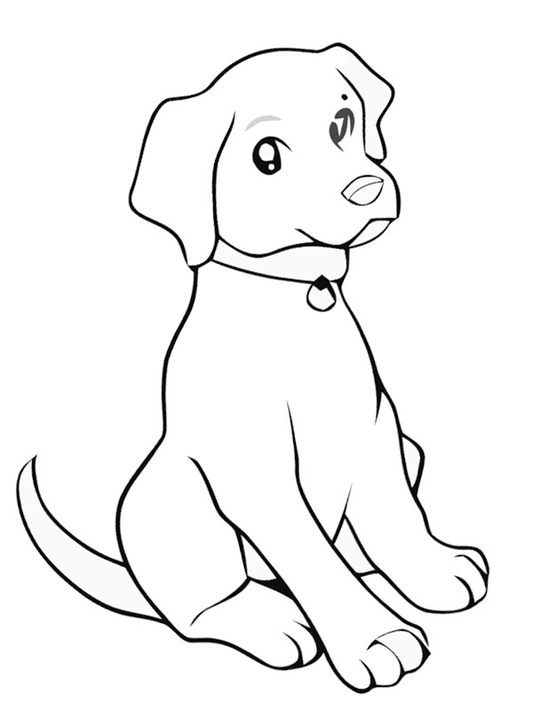 Labrador cucciolo disegno da colorare