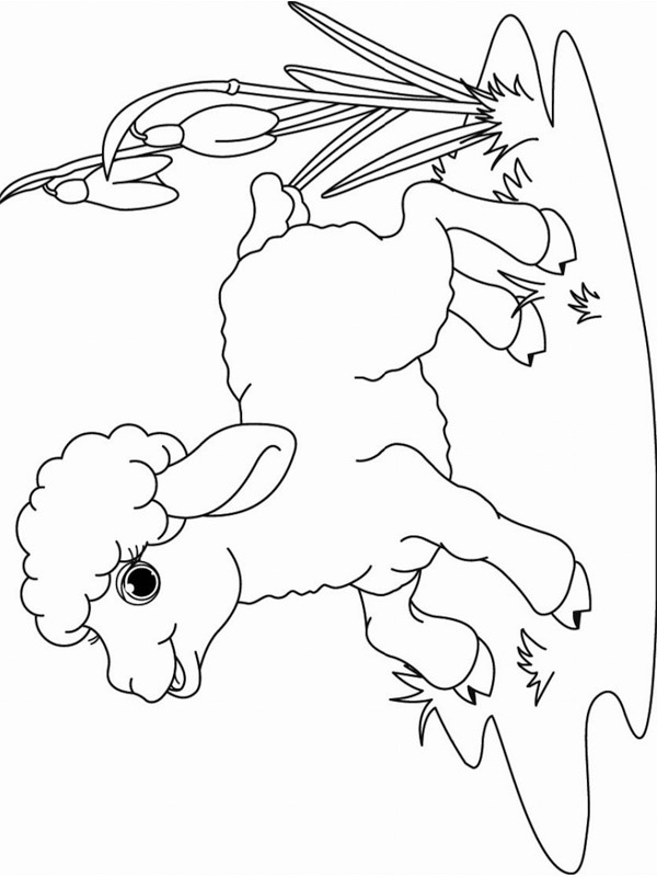agnello disegno da colorare