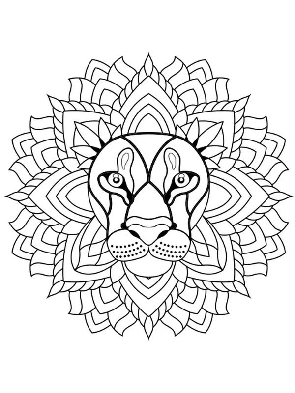 Leone mandala disegno da colorare