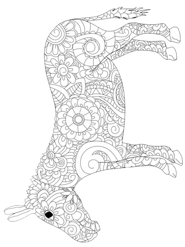Asino Mandala disegno da colorare Asino Mandala disegno da colorare