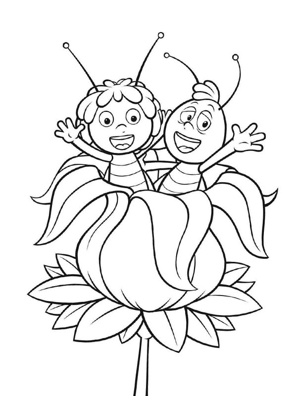 Maja e Willie in un fiore disegno da colorare