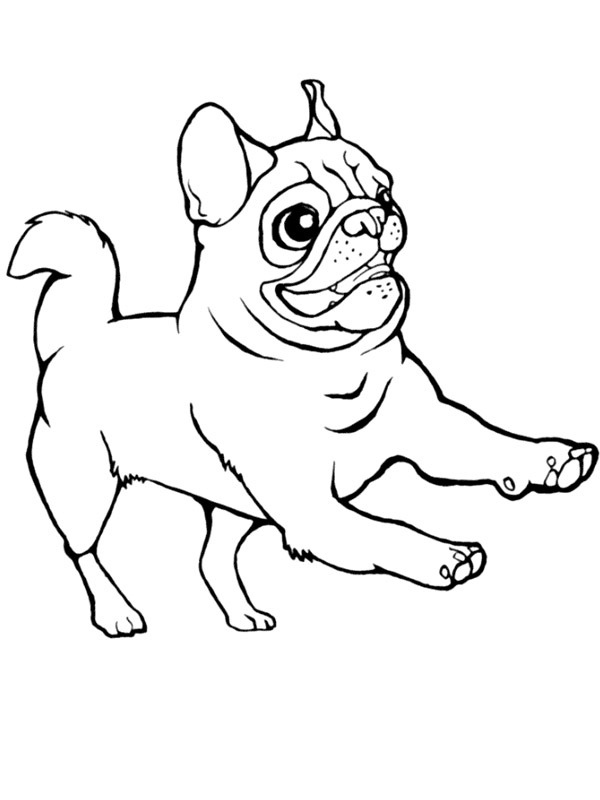 Carlino disegno da colorare Carlino disegno da colorare