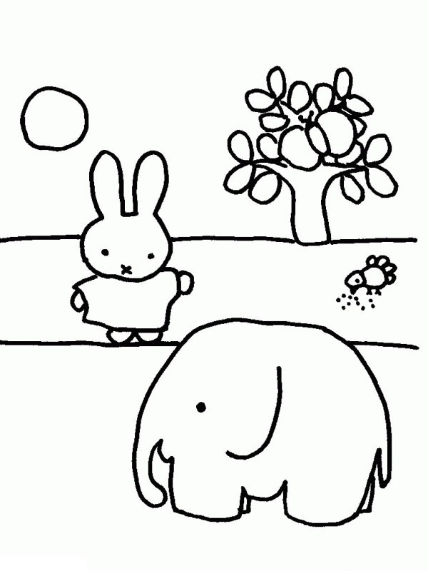 Miffy con un elefante disegno da colorare