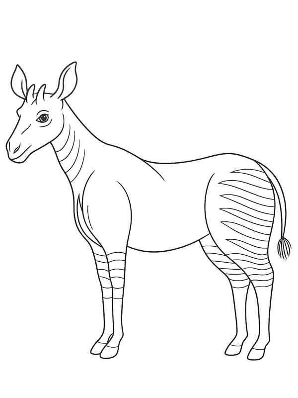Okapi disegno da colorare Okapi disegno da colorare