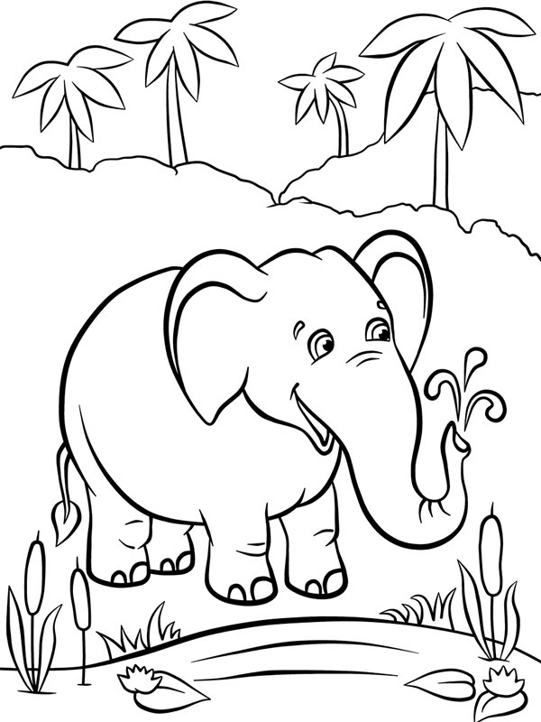 Elefante vicino all'acqua disegno da colorare
