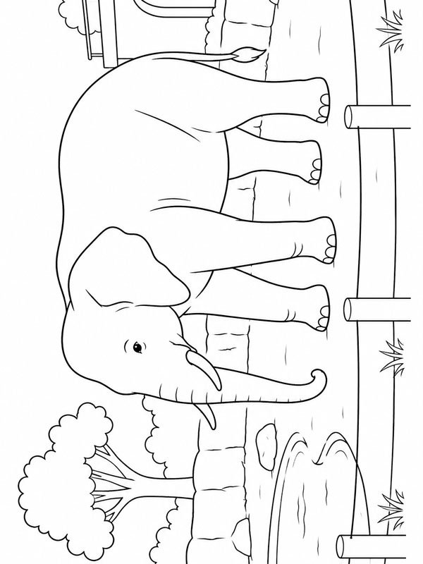 Elefante nello zoo disegno da colorare Elefante nello zoo disegno da colorare