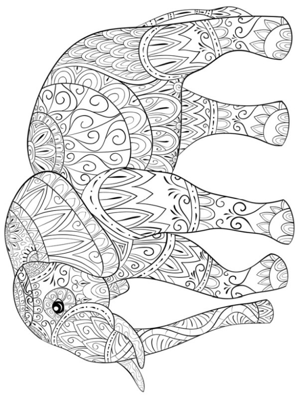 Elefante per adulti disegno da colorare