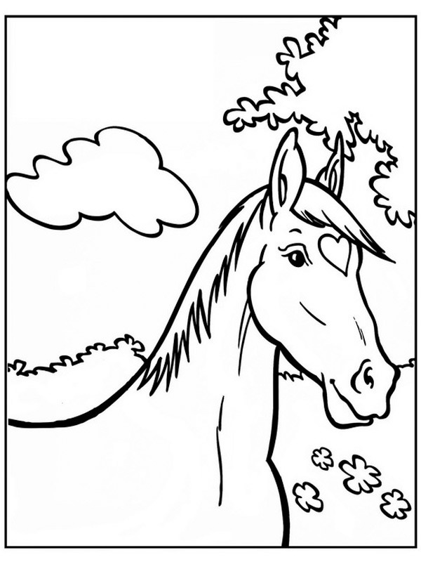 Cavallo Amika disegno da colorare