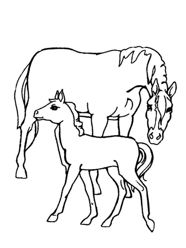 Cavallo e puledro disegno da colorare