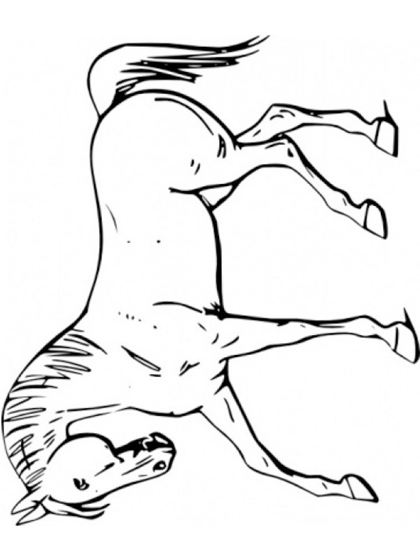 Cavallo disegno da colorare