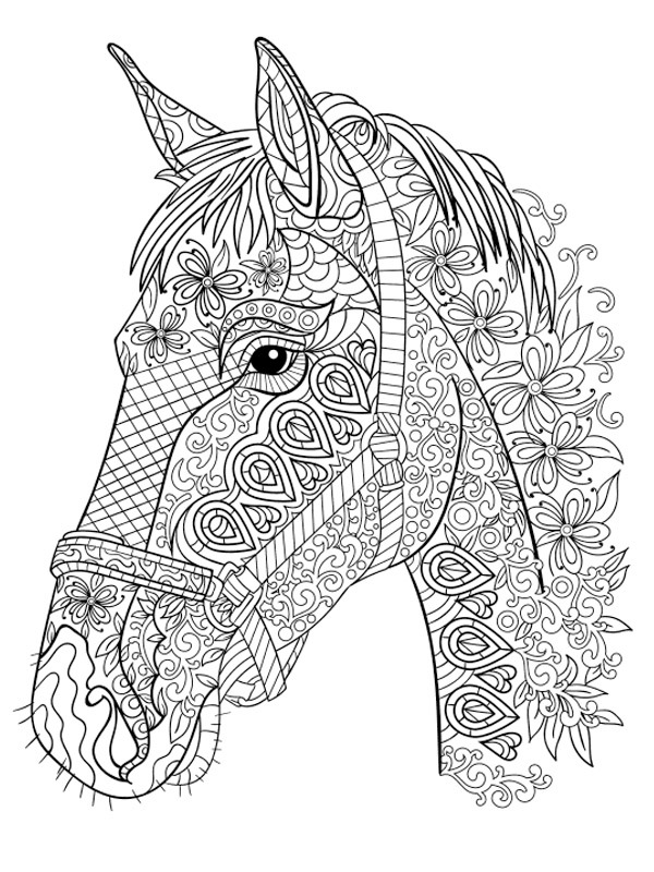 Testa di cavallo per adulti disegno da colorare