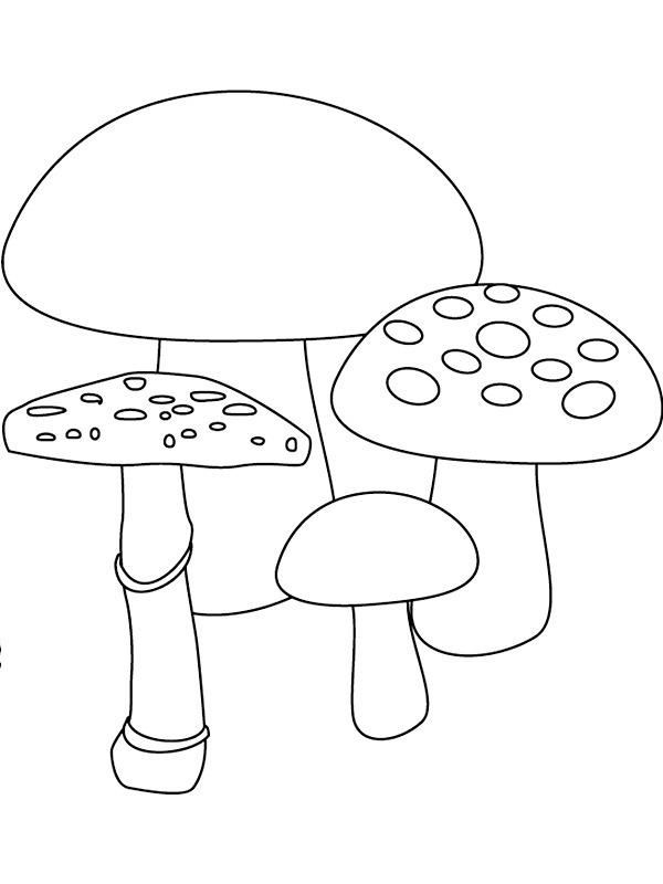 4 funghi disegno da colorare