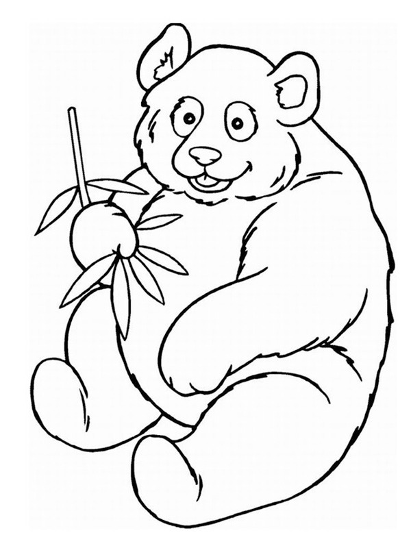 Panda disegno da colorare
