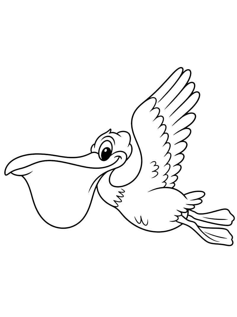 Pellicano disegno da colorare Pellicano disegno da colorare