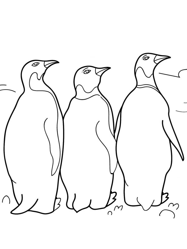 3 pinguini disegno da colorare
