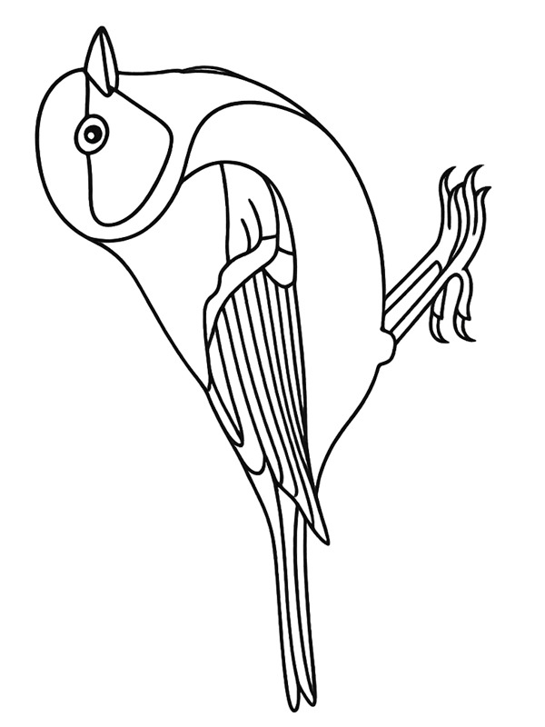 Cinciarella disegno da colorare Cinciarella disegno da colorare