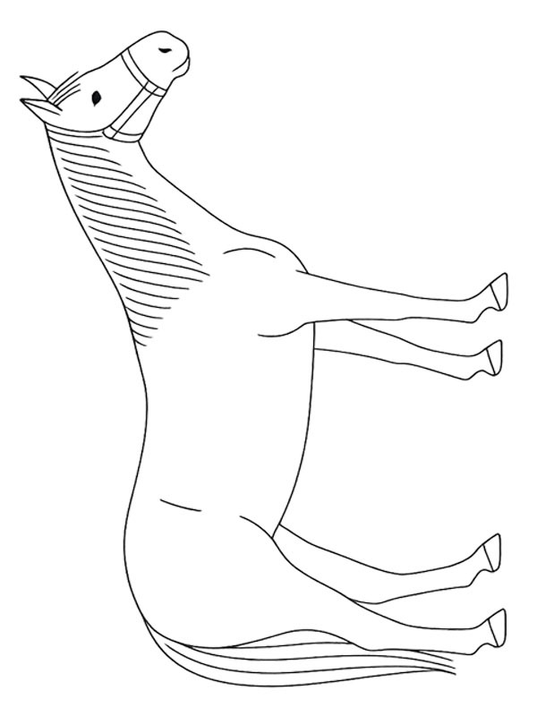 Quarter horse disegno da colorare Quarter horse disegno da colorare