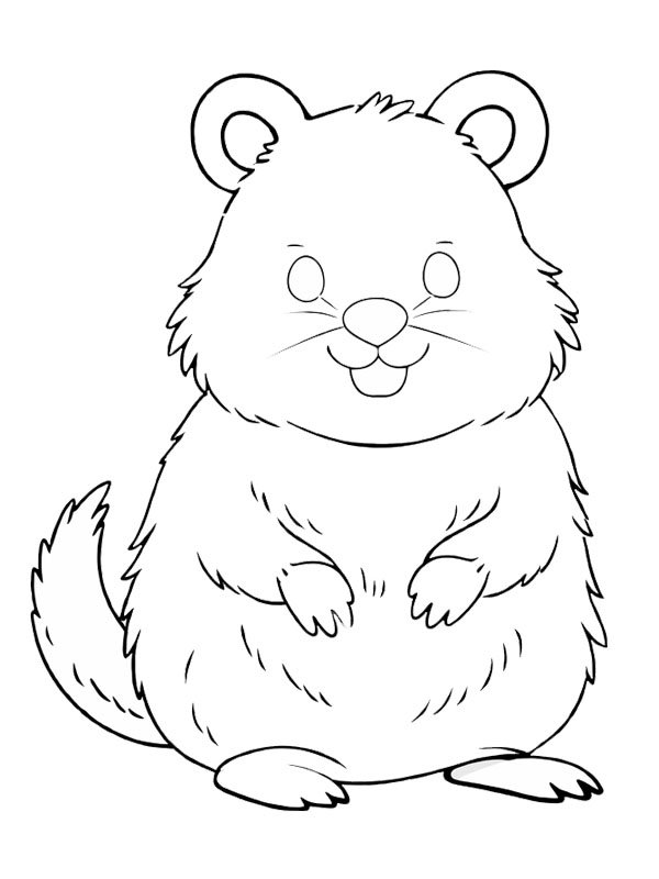 Quokka disegno da colorare Quokka disegno da colorare