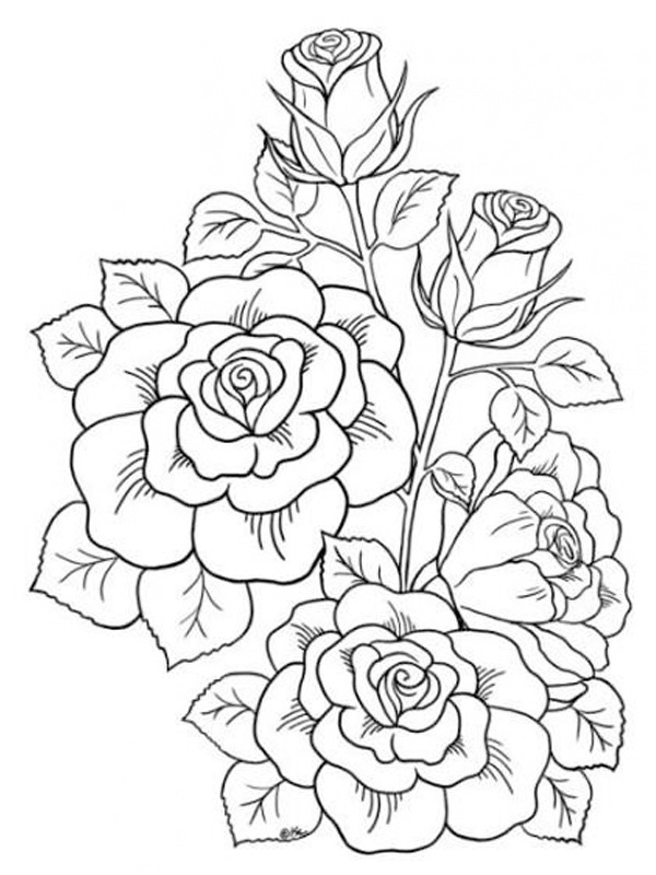 Tatuaggio rose disegno da colorare