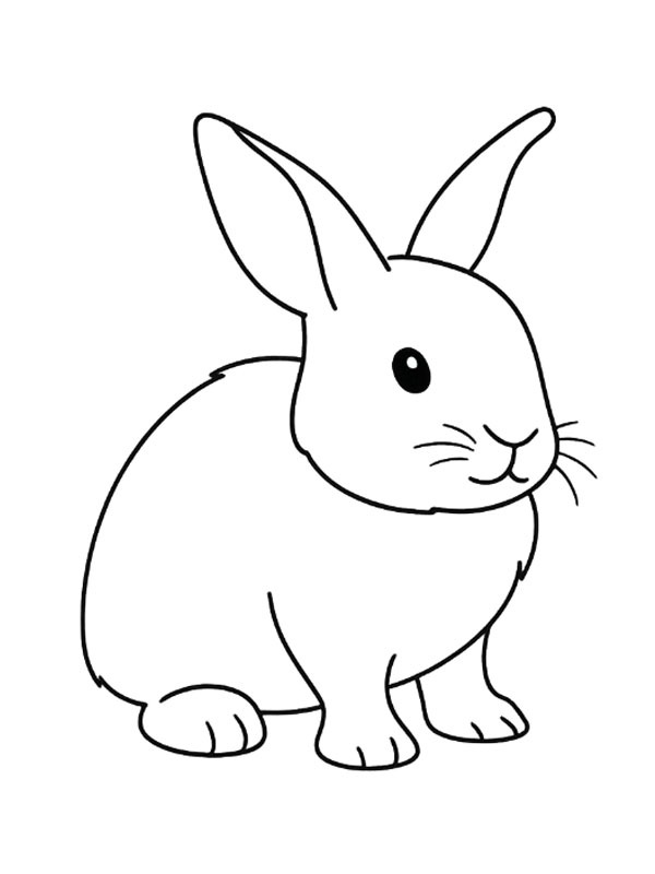 Coniglietto carino disegno da colorare Coniglietto carino disegno da colorare