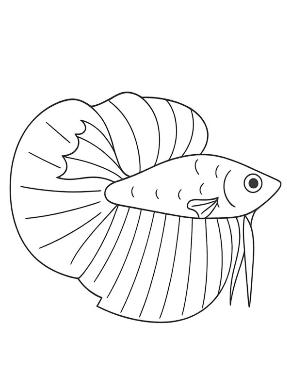 Pesce combattente disegno da colorare Pesce combattente disegno da colorare