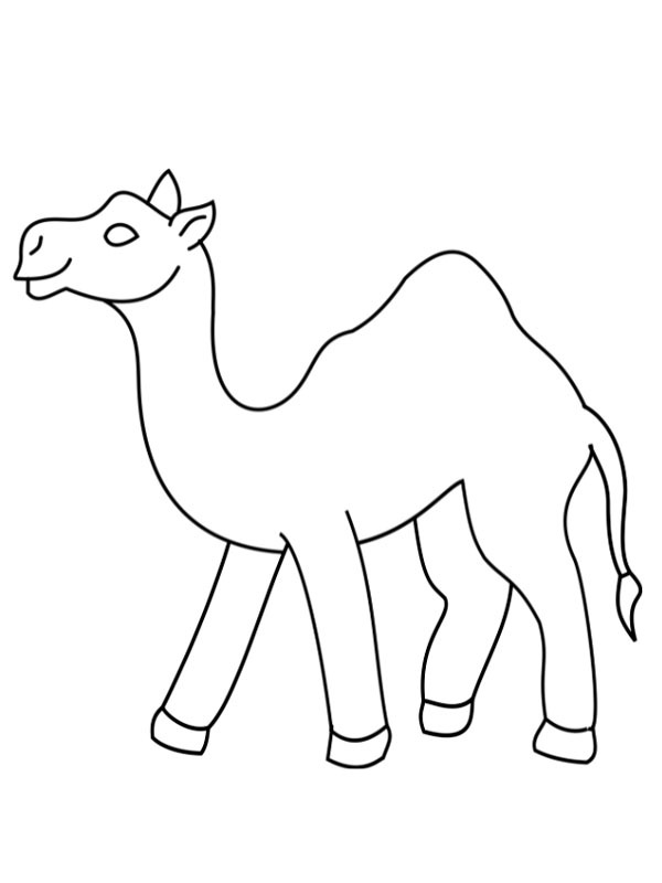 Camello disegno da colorare Camello disegno da colorare