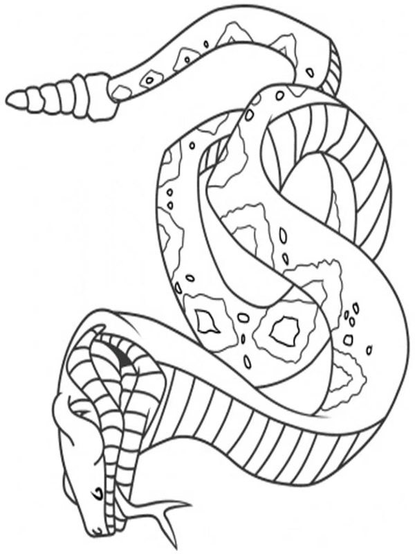 Serpente disegno da colorare