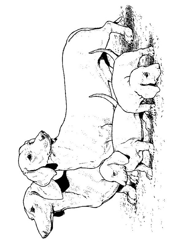 Bassotti disegno da colorare Bassotti disegno da colorare