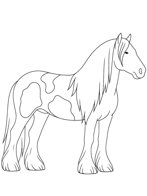 Cavallo Tinker disegno da colorare Cavallo Tinker disegno da colorare