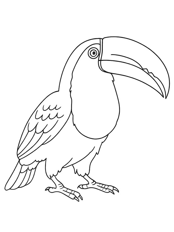 Tucano disegno da colorare Tucano disegno da colorare