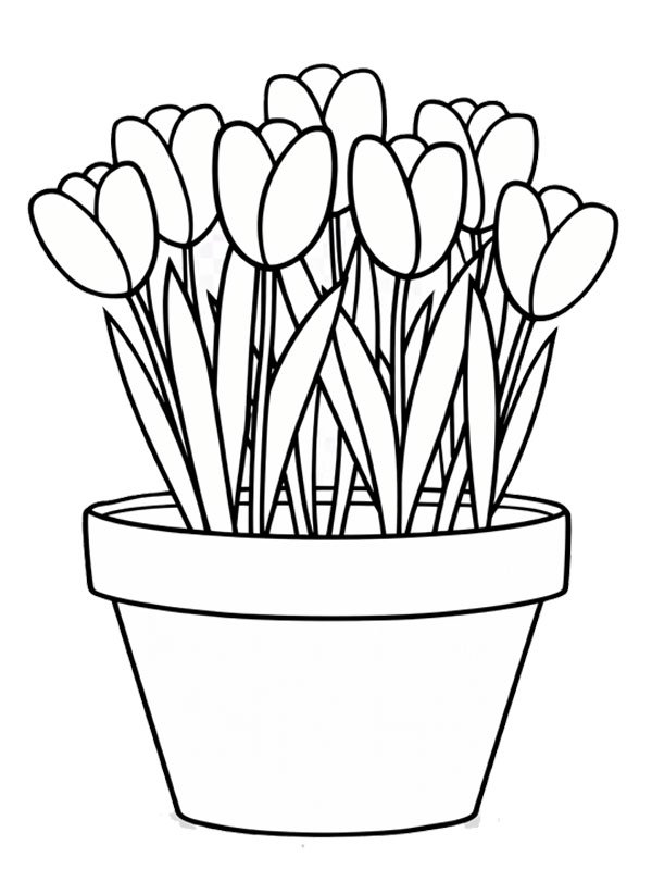 Tulipani in vaso disegno da colorare