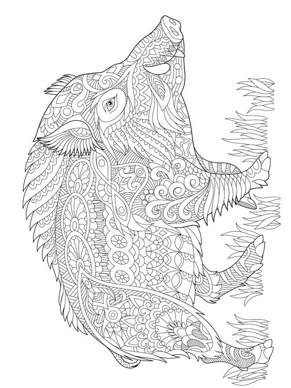 Mandala maiale disegno da colorare Mandala maiale disegno da colorare