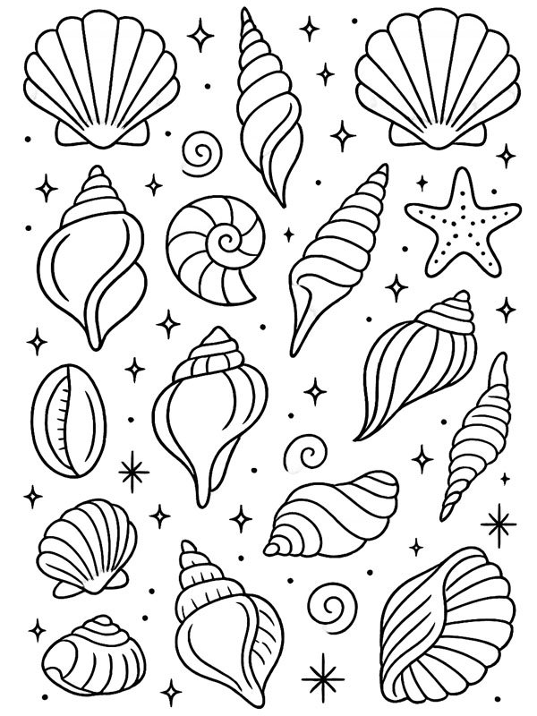 Diverse conchiglie disegno da colorare Diverse conchiglie disegno da colorare