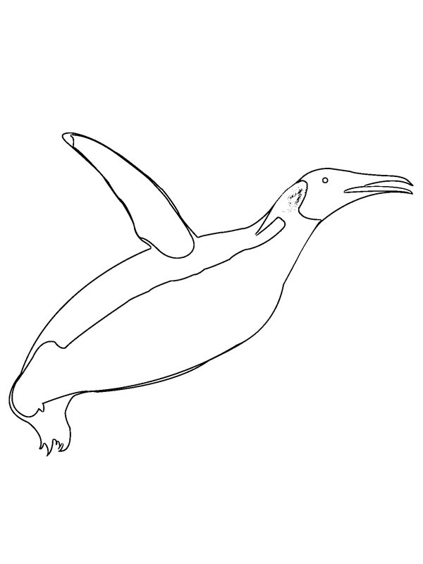Pinguino che vola disegno da colorare
