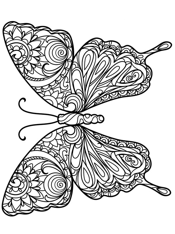 Farfalla per adulti disegno da colorare