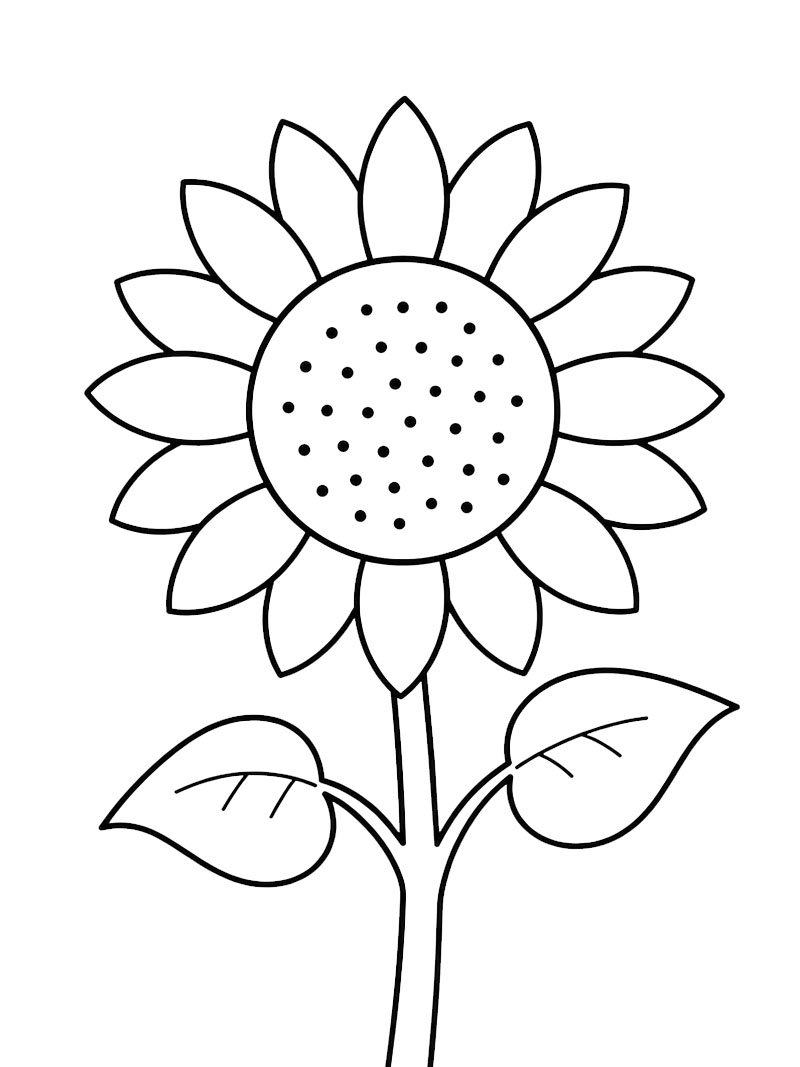 Girasole per bambini disegno da colorare Girasole per bambini disegno da colorare