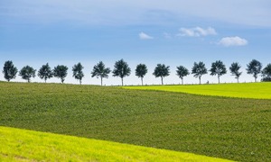 Paesaggio